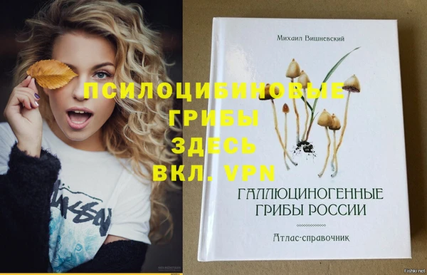 МДПВ Абдулино