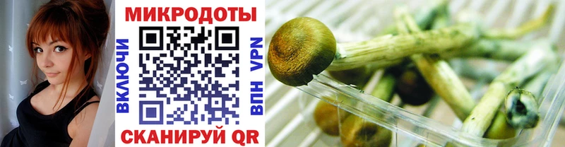 закладки  Заринск  Псилоцибиновые грибы MAGIC MUSHROOMS 