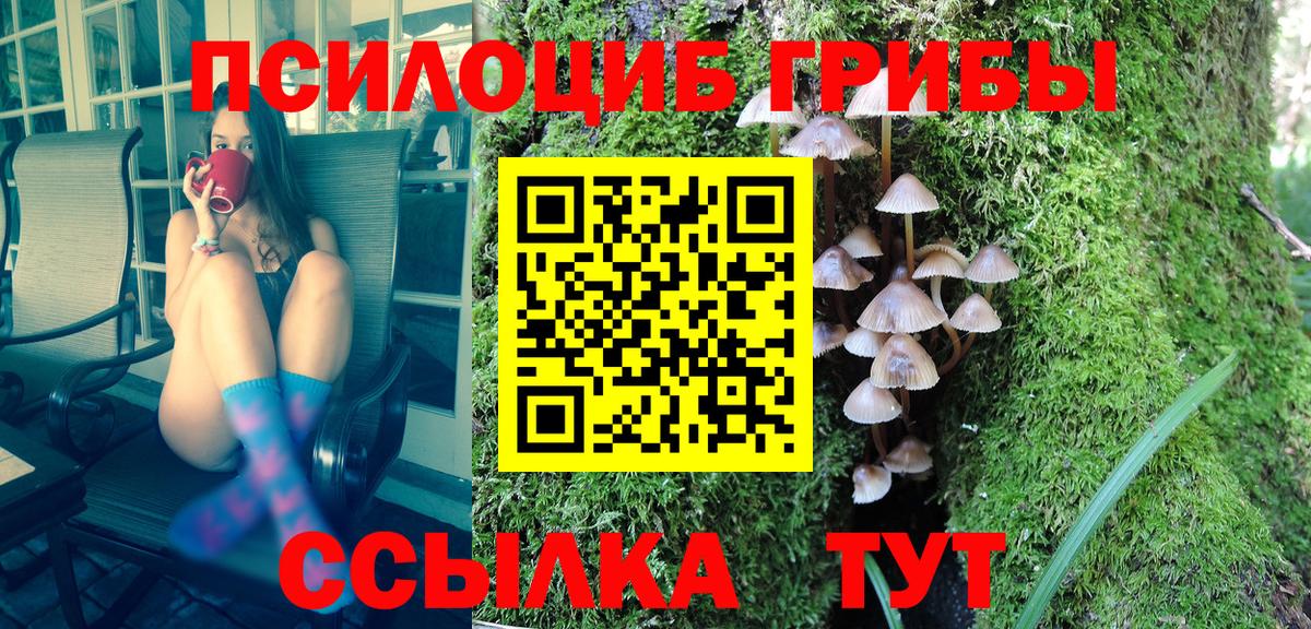 Псилоцибиновые грибы MAGIC MUSHROOMS Заринск