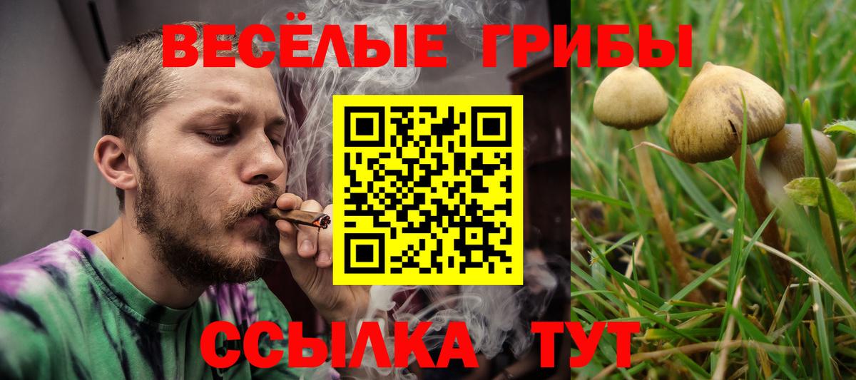 Псилоцибиновые грибы мицелий  Вход с VPN  Заринск 